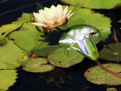 -维乐口腔医院(星海湾分院)
