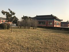 -洛阳古墓博物馆