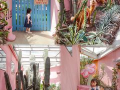 -正佳雨林生态植物园