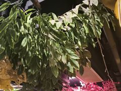 -城墙拐拐火锅(三峡广场黑金冠店)