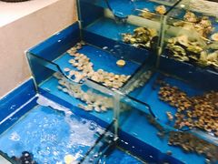 水产区-瑞安辰茂阳光酒店自助餐