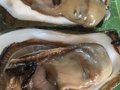 -东戴河风景区-止锚湾