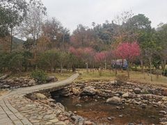 -杨厝六十六农庄农舍(杨厝路店)