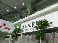 -爱侣宠医·鹦鹉专科·小型哺乳类·异宠专科(灵石路店)