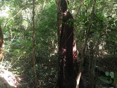 -七仙岭温泉国家森林公园