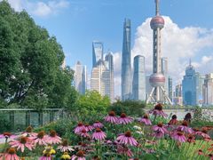 -北外滩滨江绿地