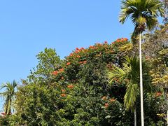 -中国科学院西双版纳热带植物园