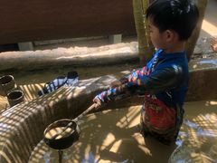 -100蛋泥浆浴