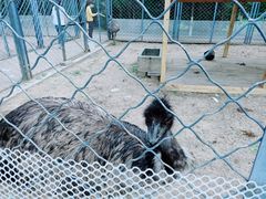 -长白岛森林公园