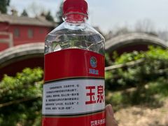 -玉泉观