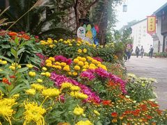 -小河直街历史文化街区