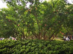 -徐家汇源景区-衡山公园