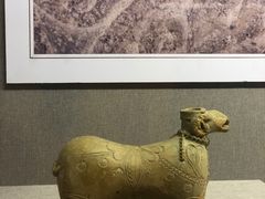 -北京大学赛克勒考古与艺术博物馆