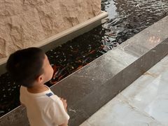 -太湖饭店玉兰厅(自助餐厅)