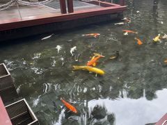 -Waterfall瀑布湾优健源(华侨城店)