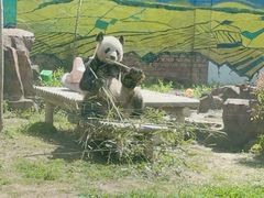 -苏州太湖国家湿地公园