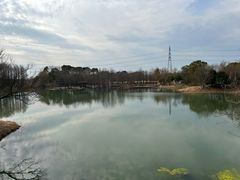 -梁鸿国家湿地公园