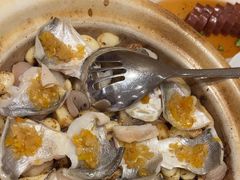 -新吉士·上海菜(浦东LCM置汇旭辉店)