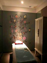 -奈瑞儿美颜美养SPA