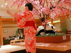 -大江户·温泉洗浴(浑南店)