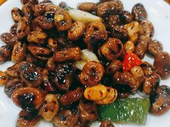 -食全酒美驴肉馆