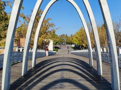 -大兴滨河森林公园