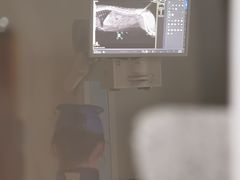 -萌兽医馆·眼科·异宠专科(三里屯店)