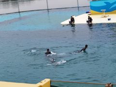 -秦皇岛乐岛海洋王国