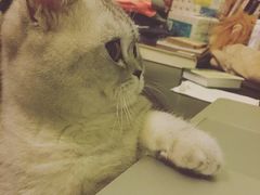 -成都民大动物医院