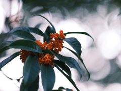 -杭州少年儿童公园