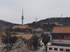 -湛山寺
