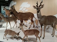 -陕西自然博物馆