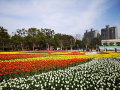 -大宁公园