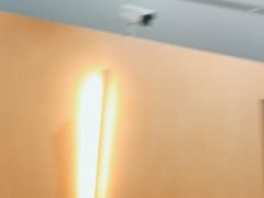 -麦当劳(北京大兴机场二层国内到达(安检外)店)