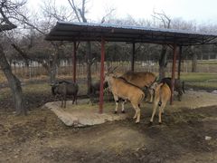 -西安秦岭野生动物园