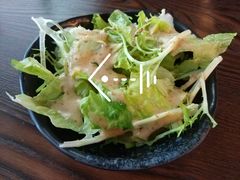 沙拉-北海银滩·鉳海(星湖店)