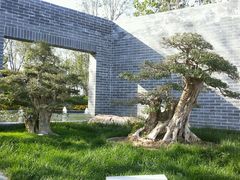 -武清南湖绿博园