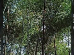 -敬亭山风景名胜区