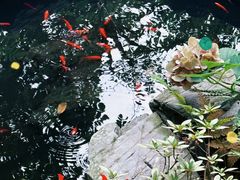 -谷咖啡·鲜花绿植花园餐厅