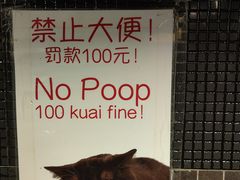 -萨尔瓦多Salvador's
