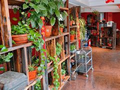 -大匠工房古船木艺术餐厅·猪肚鸡专门店(长白仙岛店)