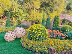 -上海共青森林公园