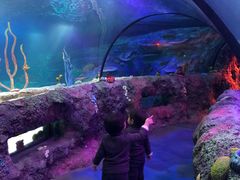 -沈阳海洋探索中心