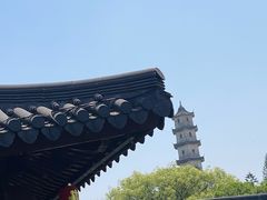 -江心屿景区