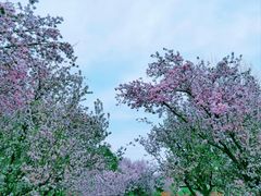 -元大都城垣遗址公园