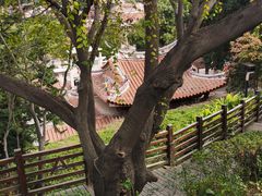 -晋江五店市传统文化旅游区
