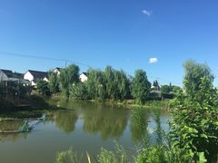 -马陆小张葡萄园农家乐