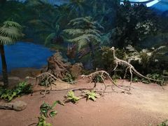 -自贡恐龙博物馆