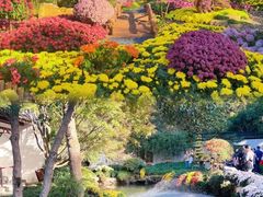 -杭州植物园