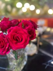 -花隐·美芙炫海菲秀皮肤管理中心